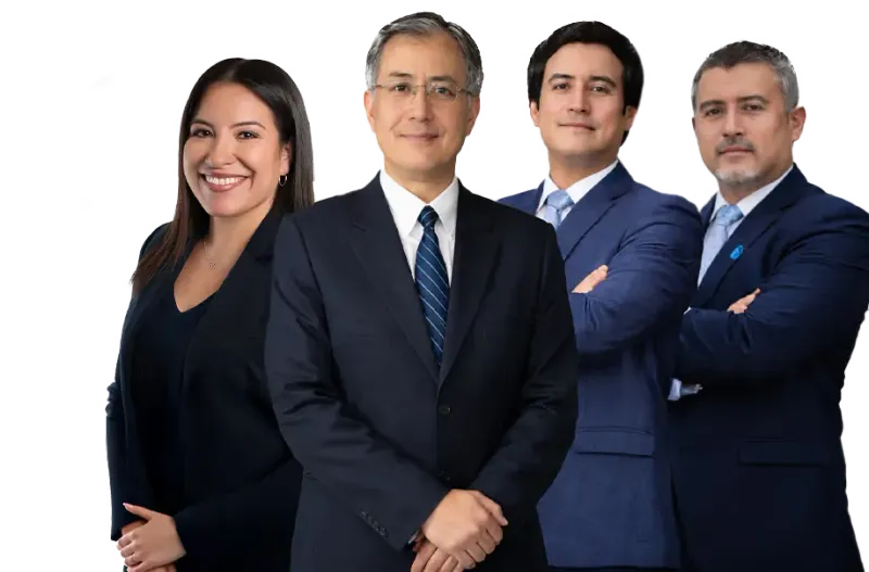 Profesionales CEAR